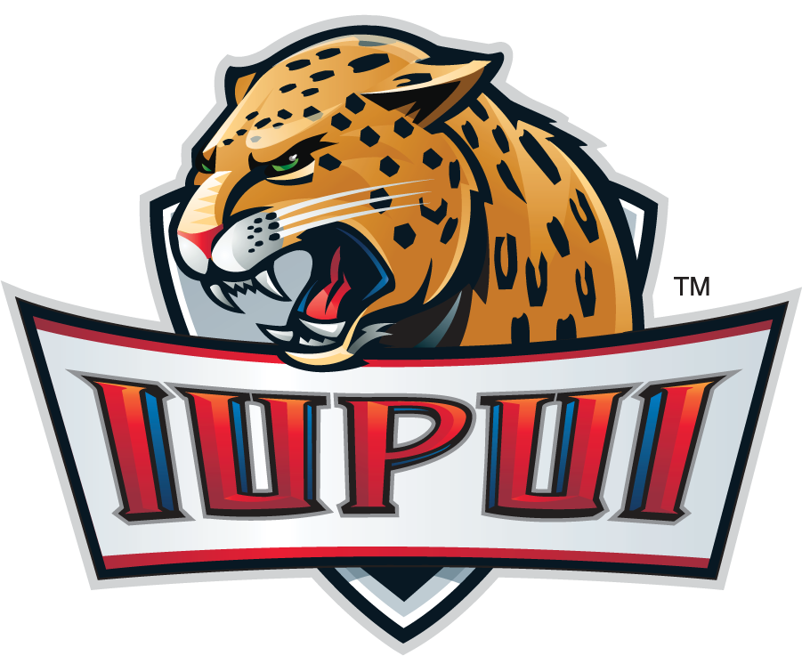 IUPUI Jaguars 2007-2017 Alternate Logo v2 DIY iron on transfer (heat transfer)